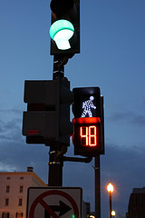 Los Angeles Crosswalk ticket